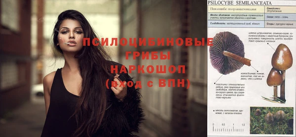 спиды Инта