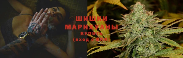 спиды Инта