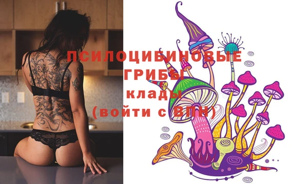 спиды Инта